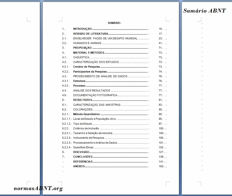Sumário ABNT – formatar sumário pela regra abnt e trabalho pronto sumário