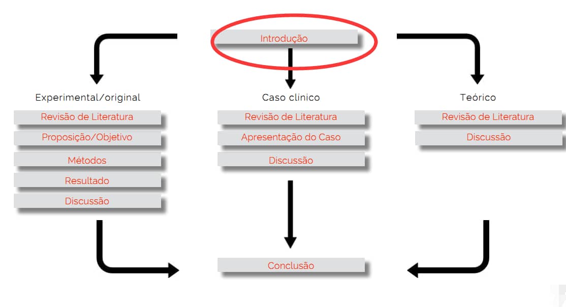 Introdução é um elemento textual