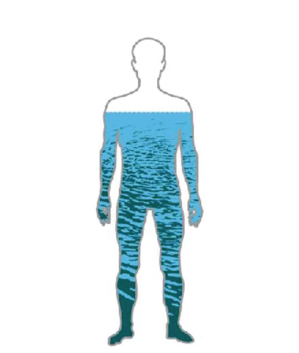 ilustração de corpo humano com água
