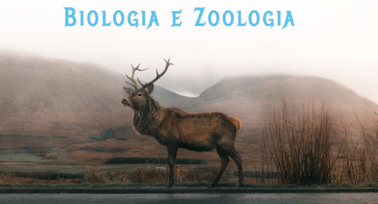 Biologia e Zoologia