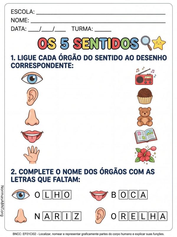 atividades sobre os 5 sentidos, 1º ano ef, ciência