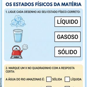atividade: estados físicos da matéria, ciência do 5º ano EF