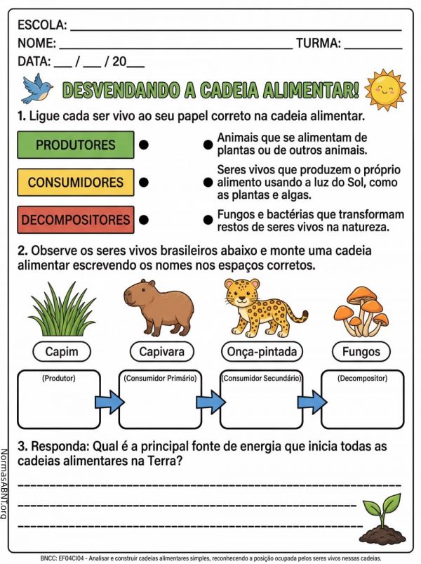 atividade sobre cadeia Alimentar