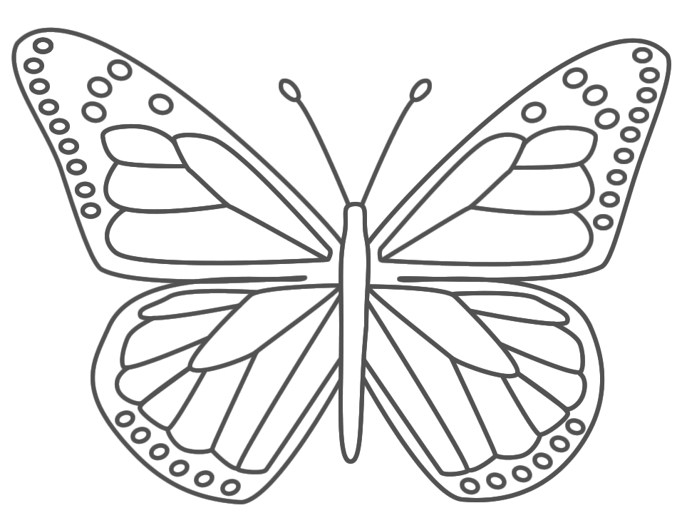 borboleta fofa 10