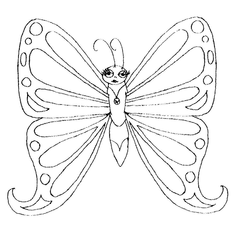 borboleta fofa 11