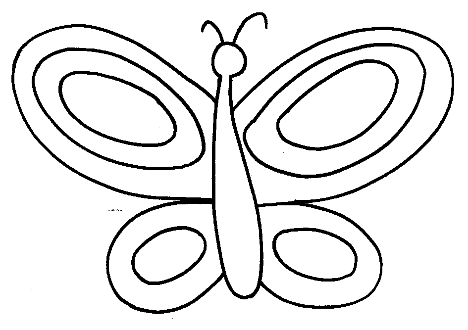 borboleta fofa 20