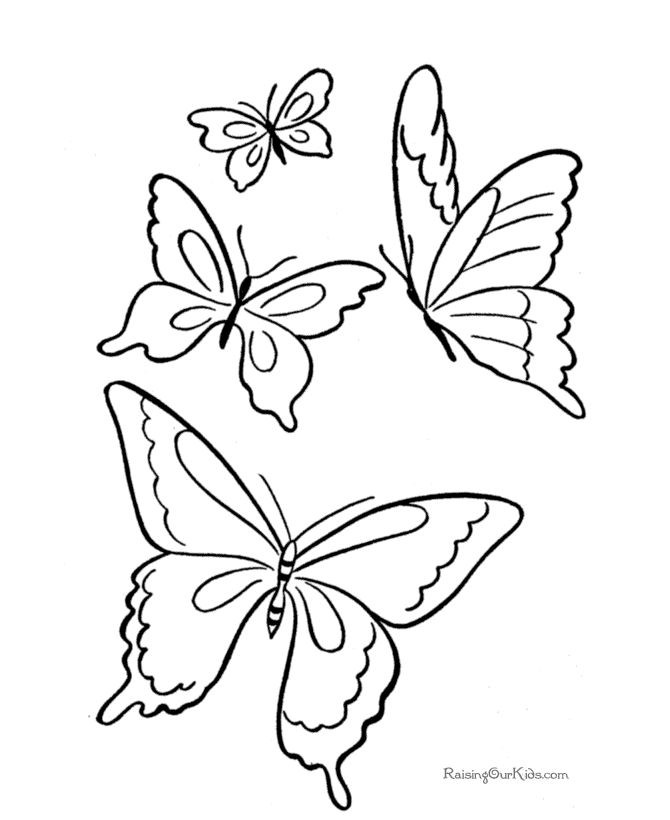 borboleta fofa 26