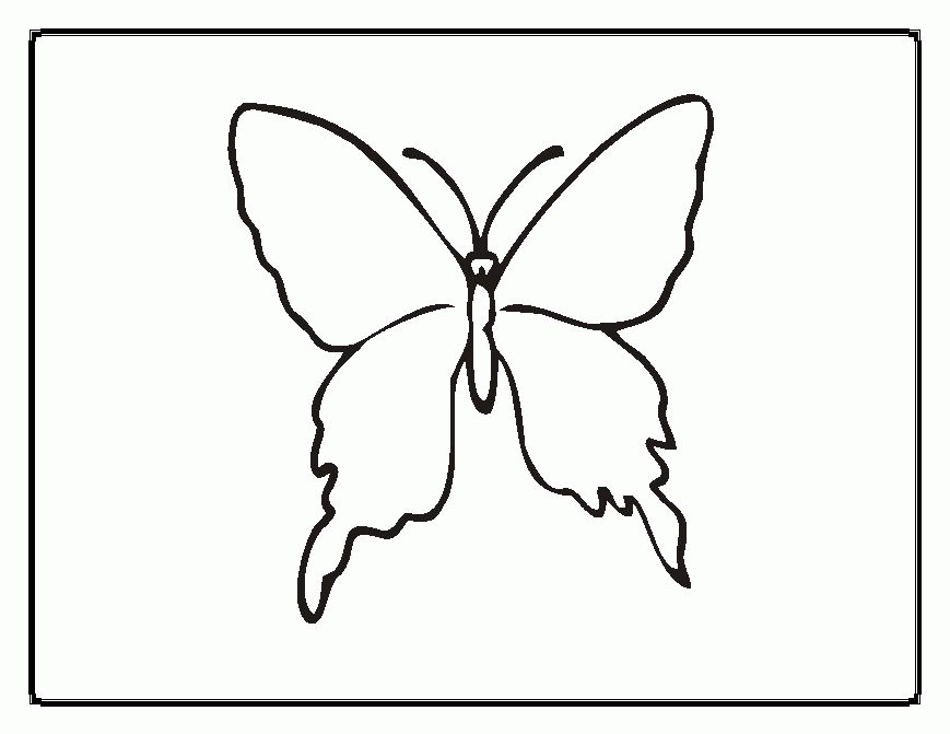 borboleta fofa 3