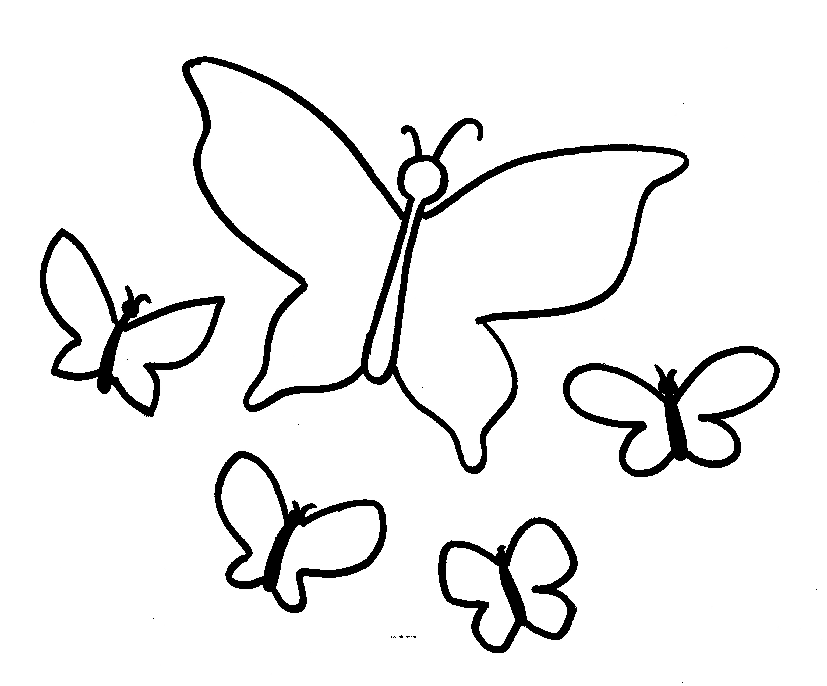 borboleta fofa 5