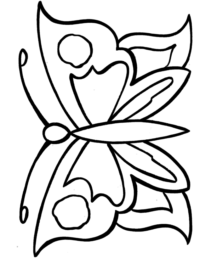 borboleta fofa 6