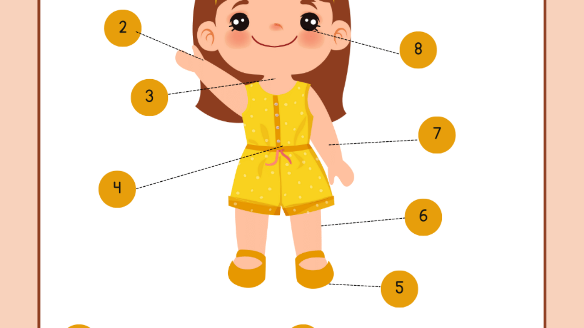 Atividades de Localizar, nomear partes do corpo humano, image size:1200x675